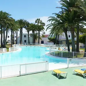 Oasis , Corralejo Spanje